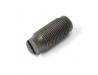 Tappet adjuster screw