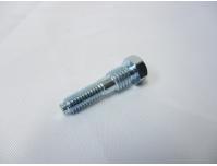 Image of Cam chain tensioner adjuster bolt