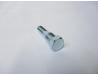 Image of Cam chain tensioner adjuster bolt