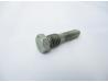 Cam chain tensioner adjuster bolt