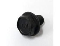 Image of Cam pulser rotor retaining bolt