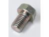 Image of Camshaft sprocket bolt