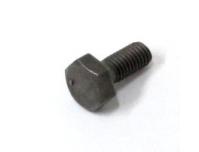 Image of Cam sprocket bolt