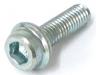 Carburettor insulator retaing bolt