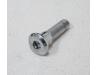 Brake disc retaining bolt