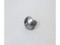 Image of Radiator side cover mounting bolt