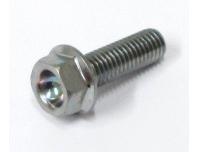 Image of Camchain tensioner arm retaining bolt