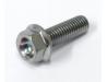 Camchain tensioner arm retaining bolt