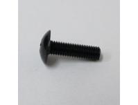 Image of Fairing screen retaining screw