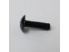 Fairing screen retaining screw