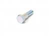 Clutch lever pivot bolt