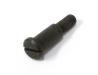 Brake lever pivot bolt