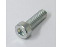 Image of Fork damper rod retaining bolt