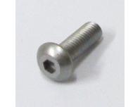 Image of Fairing screen retaining screw