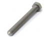 Image of Drive chain / Rear wheel adjuster bolt