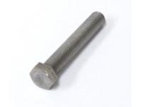 Image of Driver chain adjuster bolt