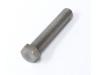 Drive chain / Rear wheel adjuster bolt