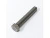 Drive chain adjuster bolt