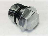 Image of Fork tube chrome top bolt