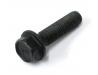 Exhaust silencer clamp pinch bolt