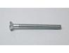 Handle bar end weight retaining screw