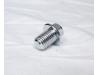 Image of Oil drain bolt