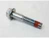 Brake caliper mounting bolt, Front