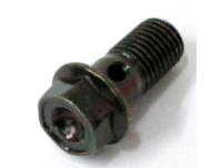 Image of Brake hose oil bolt, Rear