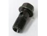 Image of Brake hose oil bolt, Rear