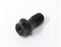 Image of Brake hose oil bolt