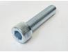 Brake caliper bolt