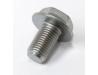 Image of Wheel axle bolt for front wheel