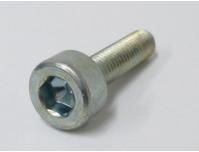 Image of Top yoke pinch bolt