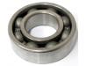 Final drive shaft bearing