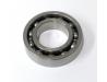 Swingarm pivot ball bearing