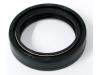 Fork oil seal
