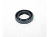 Image of DUST SEAL           *B