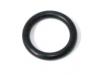 Cam chain tensioner blade pivot bolt O ring