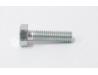 Tappet cap bolt