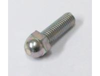 Image of Foot rest anti scuff bolt