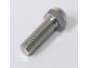 Image of Foot rest anti scuff bolt