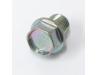 Oil drain bolt