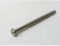 Image of Tail light lens retaining screw