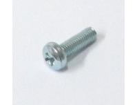 Image of Carburettor top retaining screw