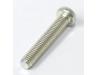 Image of Generator cover screw