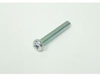 Image of Generator pulser cover retaining screw