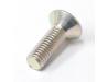 Image of Generator inspection cap retaining screw