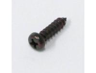 Image of Indicator lens / Turn signal retaining screw