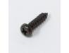 Indicator lens retaining screw