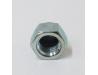 Image of Shock absorber chrome nut